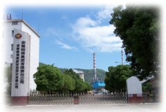 皖维集团在发展