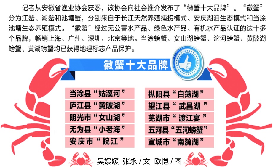徽蟹十大品牌名单正式亮相