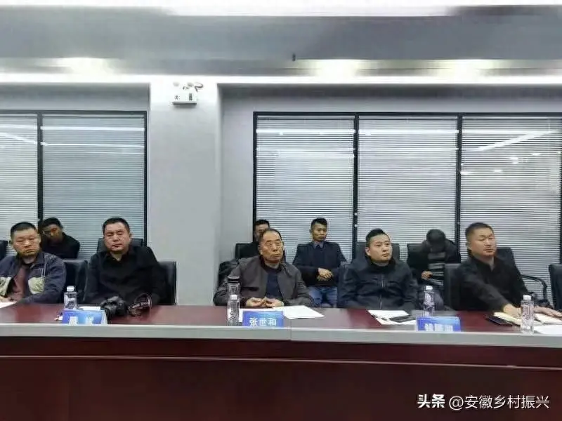 安徽合肥：乡村逢集短视频app及直播带货项目座谈会召开