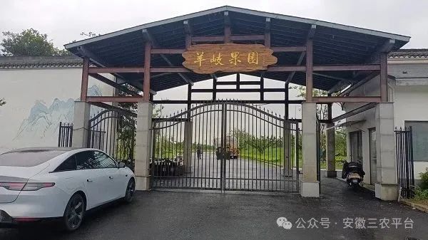 安徽省三农信息服务协会调研无锡农业灌溉设施