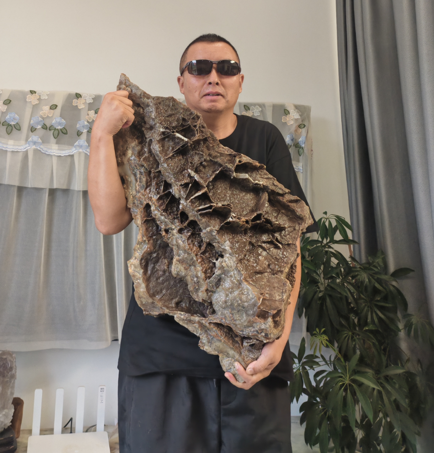 一石藏古今：鱼型筋脉石的价值传奇