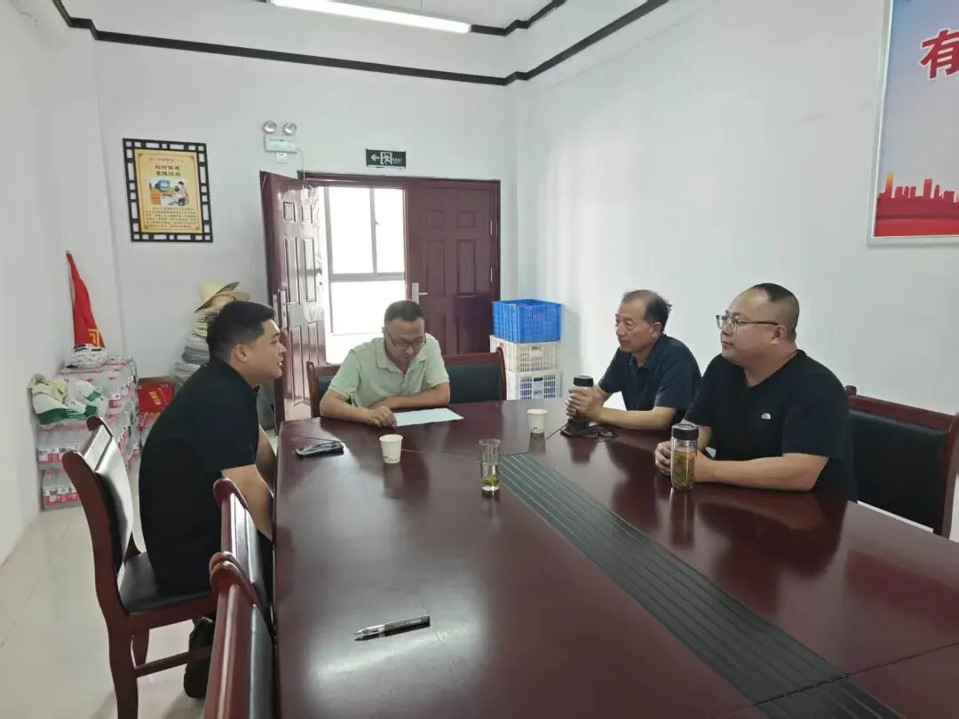引入专业运营，盘活闲置资源！天堂寨镇与文旅企业共谋黄河村振兴新路径